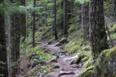 Hiking trails in the Cascades